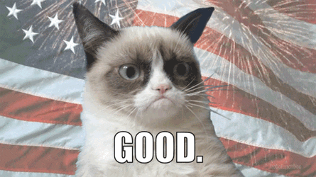 GRUMPCATGOOD.gif