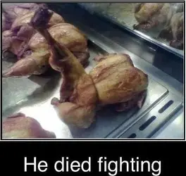 $chicken.webp