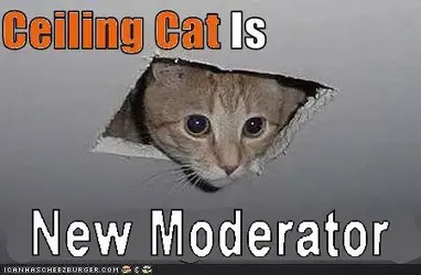 $ceilingcat.webp