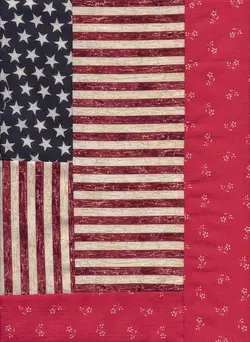$Hero Star, Liberty Rose quilt 45x55in, 3,  03.23.2012.webp