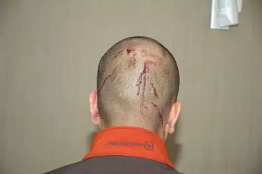 $ZimmermanMartin 5.webp