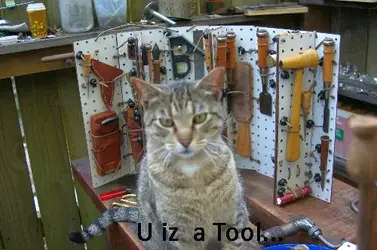 $Tool Cat1 copy.webp