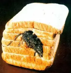 $bread.webp