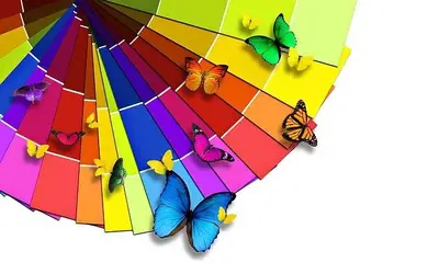 $colors5.webp