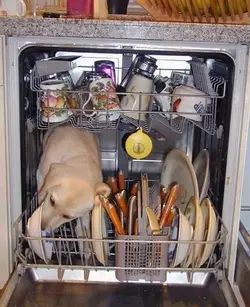 $how.does.a.bosch.dishwasher.work.the.secret.is.out.webp