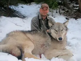 $Wolf.webp