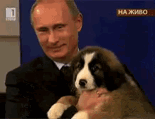 putin-puppy.gif