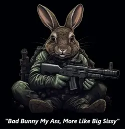 bunny.webp