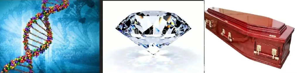 ````DNA DIAMOND COFFIN PUZZLE.webp