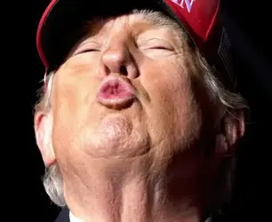 Screen Shot 2022-08-11 at 7.24.50 AM.webp