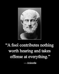 aristotal a fool is always offended.webp