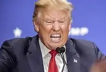 Screen Shot 2021-08-05 at 4.58.07 PM.webp