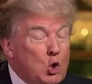 Screen Shot 2022-12-30 at 5.03.14 PM.webp