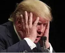 Screen Shot 2022-08-23 at 11.37.10 AM.webp