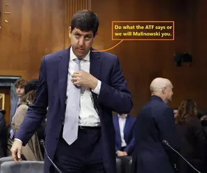 atf director biden.webp