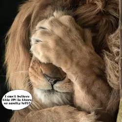 Icantbelieveitistherenosanityleft.webp