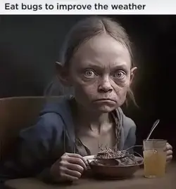 1773953995161.webp
