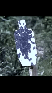 plate.gif