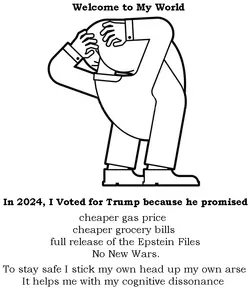 head up asre welcome to my world.webp