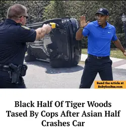 1774732520499.webp