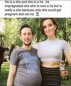1775027849645.webp