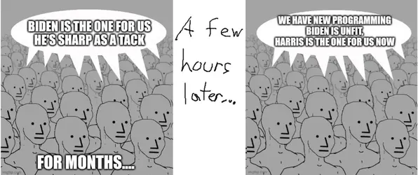 bidenharriswitchmeme.webp