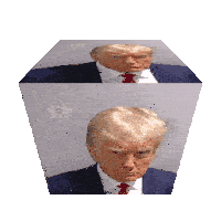 donald-trump-donald-trump-mugshot.gif