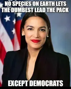 EXCEPT DEMOCRATS.webp