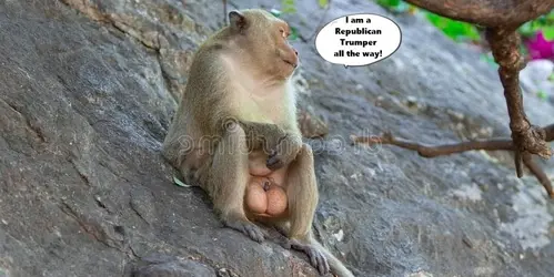 bigtesticles.webp
