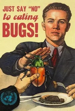 bugs.webp