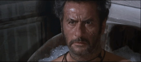 shoot 17.gif
