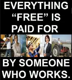 1776805524704.webp