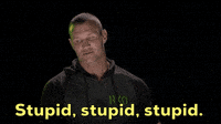 stupidstupid.gif