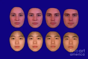 white vs asian.webp