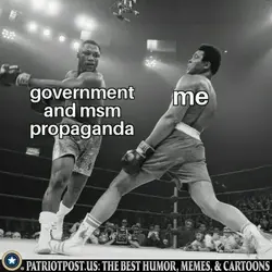 1777491597611.webp