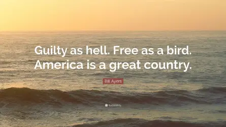 1777680087530.webp
