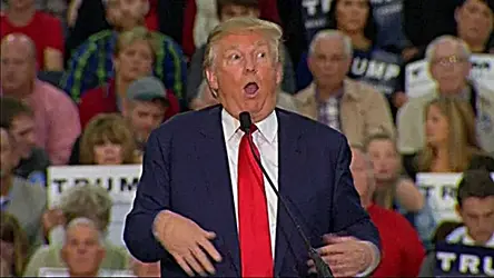 MentallyinsaneTrump.webp