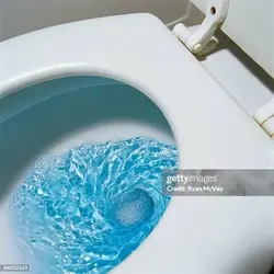 1778015226213.webp