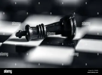 1778240109363.webp