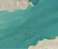 1778255630469.webp