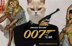 1778444897269.webp