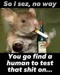 1778934078943.webp