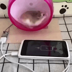 763f0b0403c43e7aba4bbccf35708bb7.gif