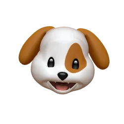 1779475798423.webp