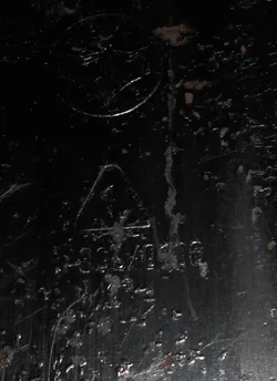 DSCN6059.webp