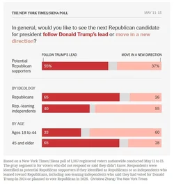 The New York Times - Siena poll part ii.webp