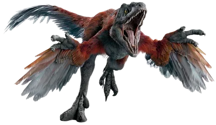 1779631105464.webp
