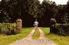 1779748064170.gif