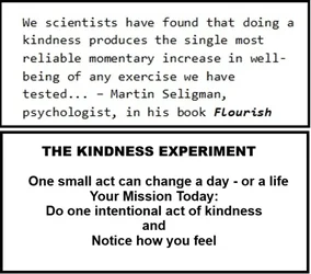 KINDNESS EXPERIMENT CARD.webp