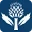 1779809259509.webp
